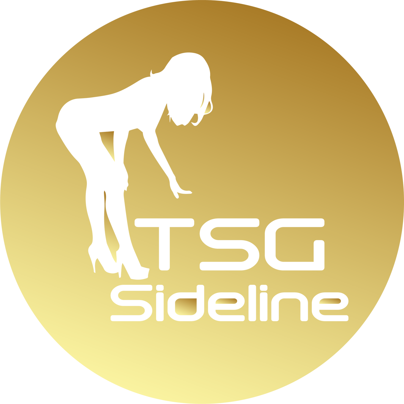 โลโก้ของ TSG Sideline