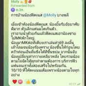 รูปรีวิวที่ 1 จาก 1 ของ น้องฟิตเนส