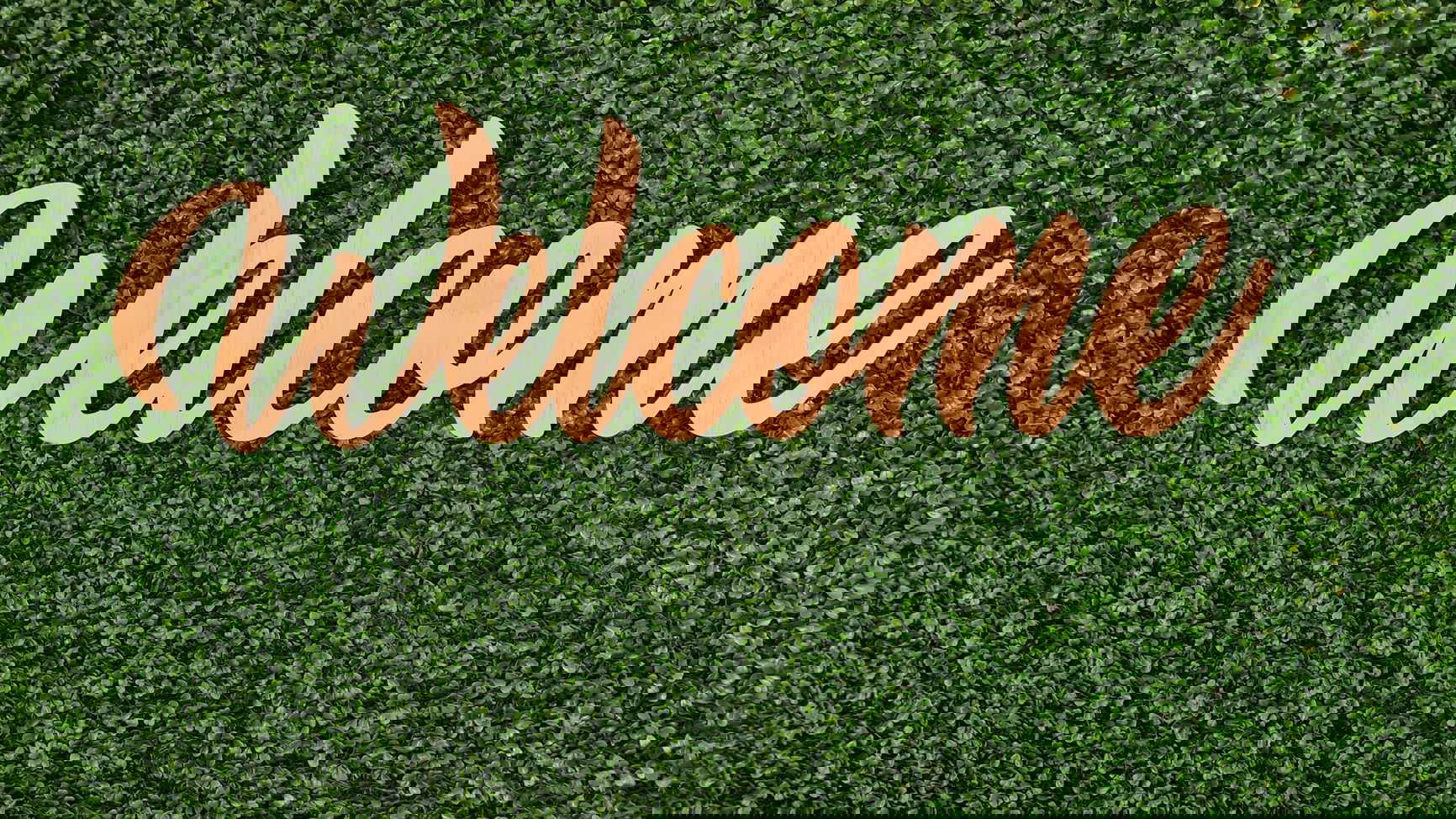 Diamond Girls banner