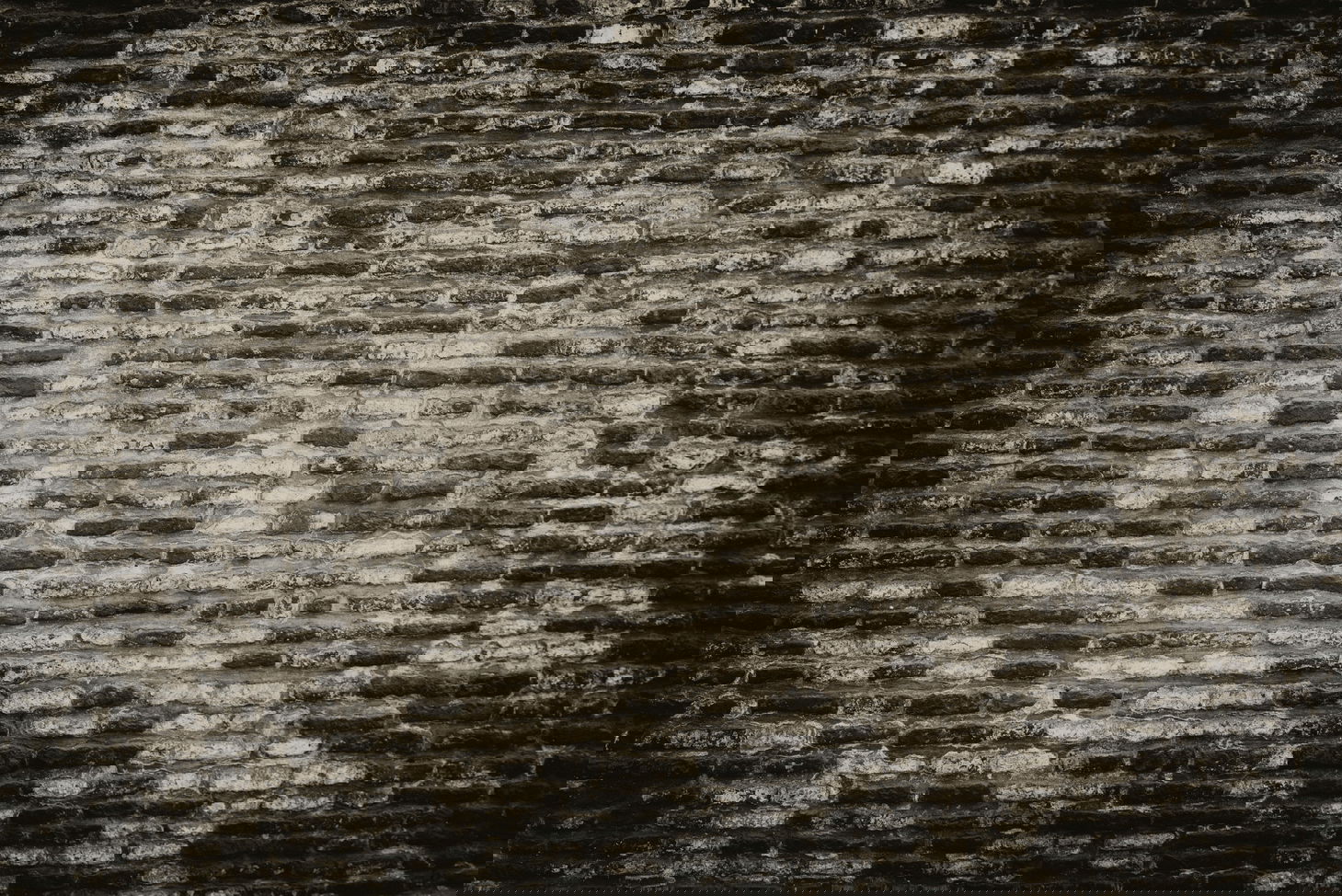 Diamond Dolls BKK banner