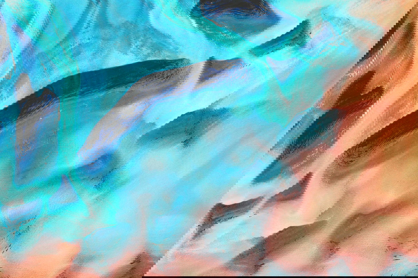 Moonlight Companions 2 banner