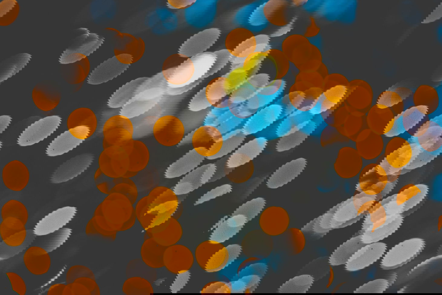 Thai Paradise VIP banner