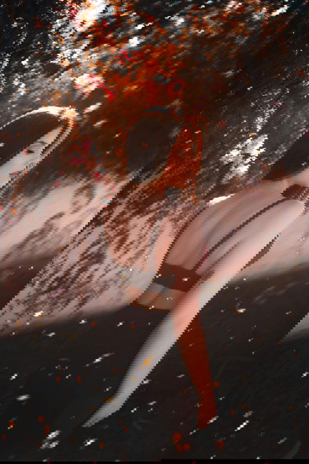 รูปภาพ 1